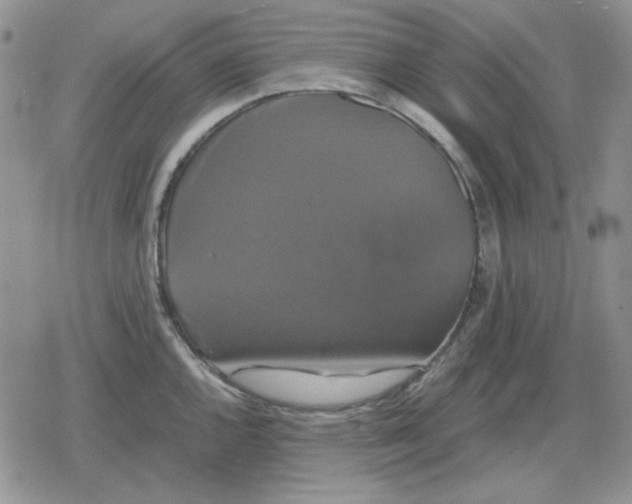 X0000079321144200612151811