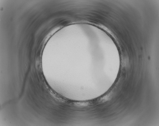 X0000079321145200612151811