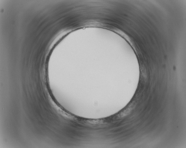 X0000079321147200612151811