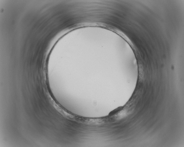 X0000079321148200612151811