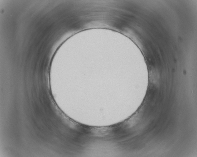 X0000079321150200612151811