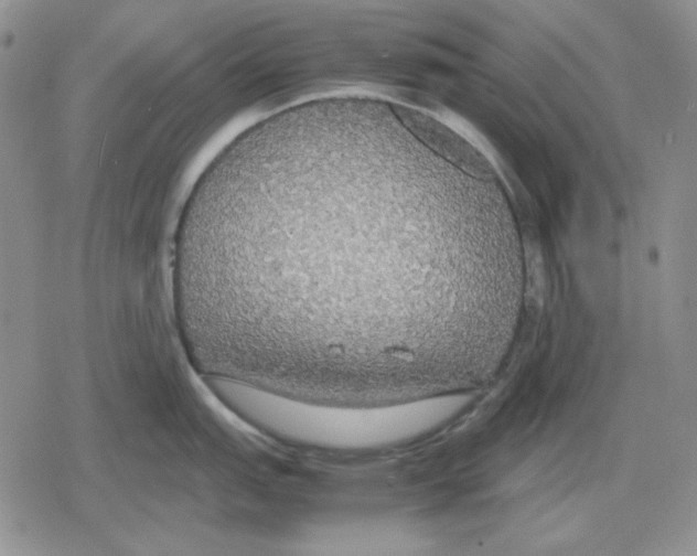 X0000079321151200612151811