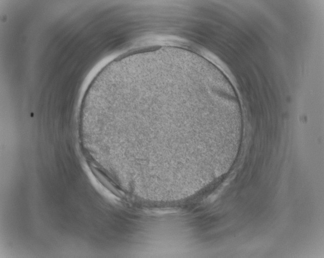 X0000079321152200612151811