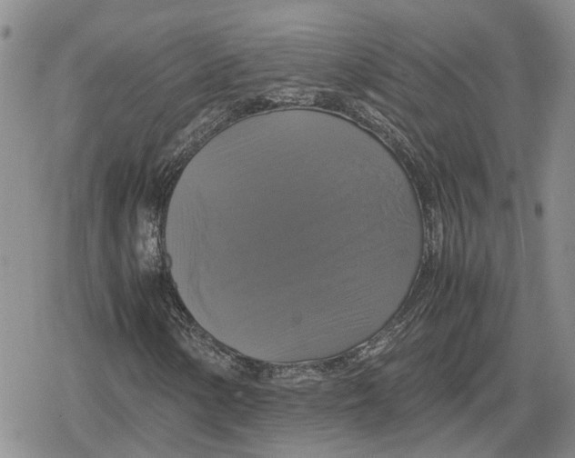 X0000079321154200612151810