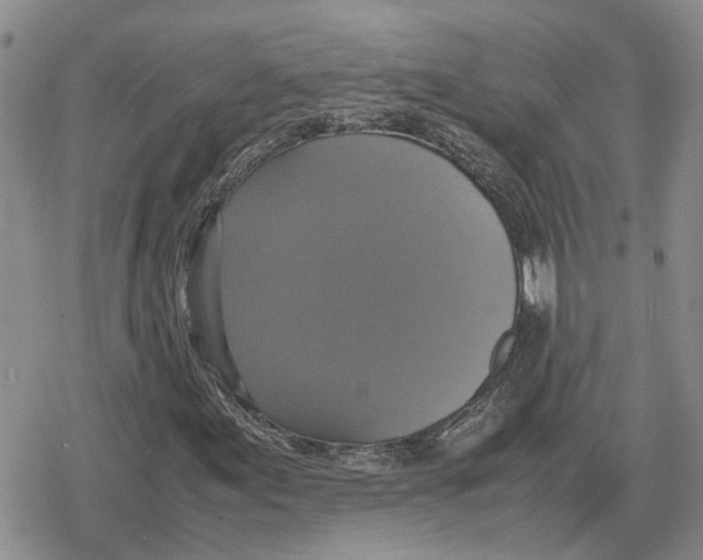 X0000079321155200612151810