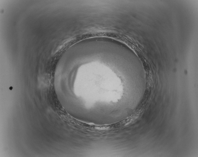 X0000079321157200612151810