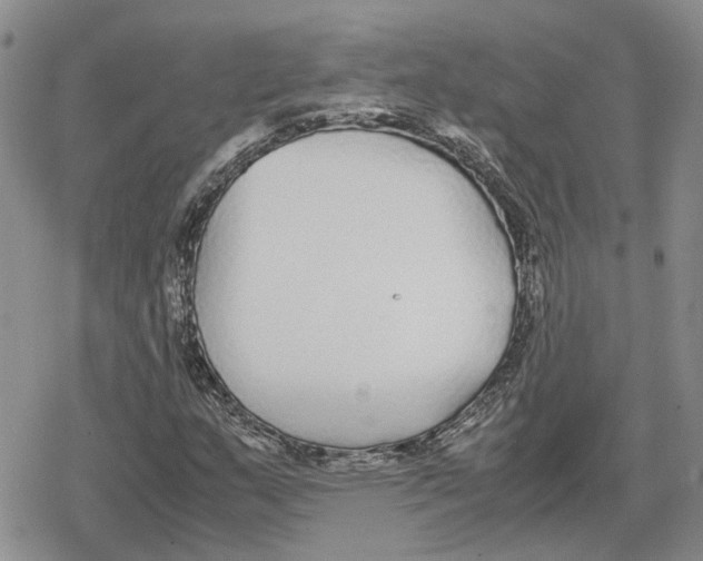 X0000079321159200612151810