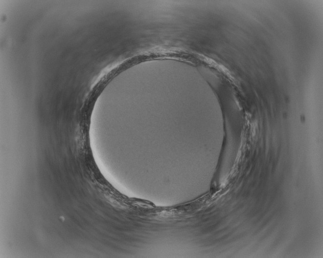 X0000079321160200612151810