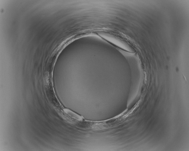 X0000079321161200612151810