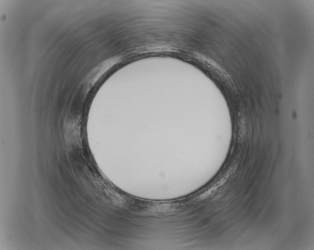 X0000079321162200612151810