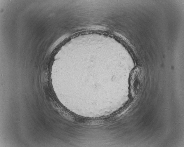 X0000079321163200612151810