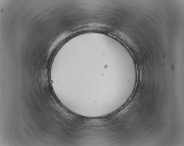 X0000079321164200612151810