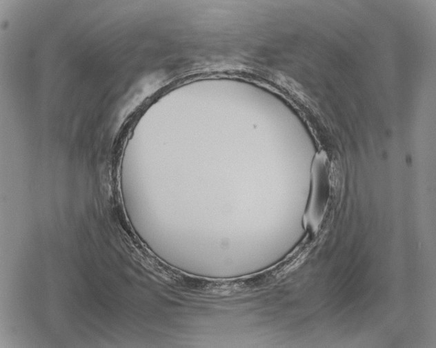 X0000079321165200612151810