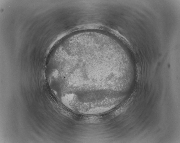 X0000079321166200612151810