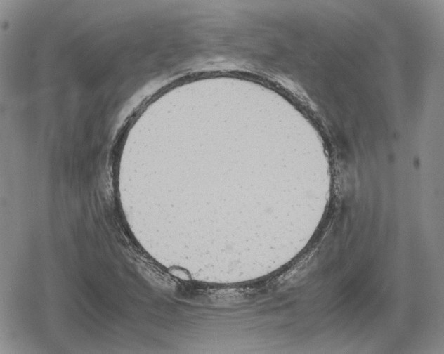 X0000079321167200612151810