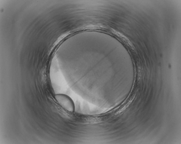 X0000079321170200612151810