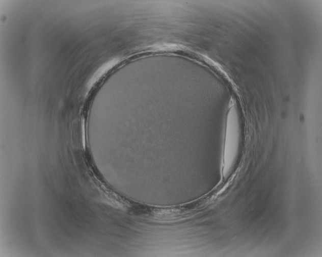 X0000079321171200612151810