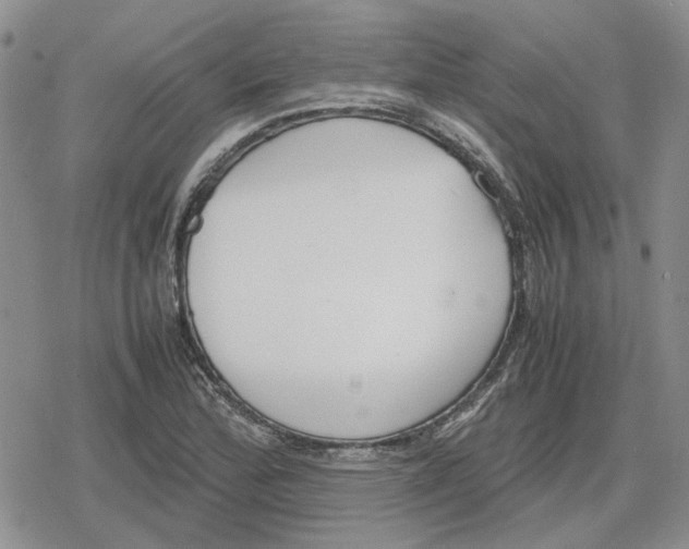 X0000079321172200612151810