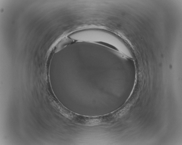 X0000079321173200612151810