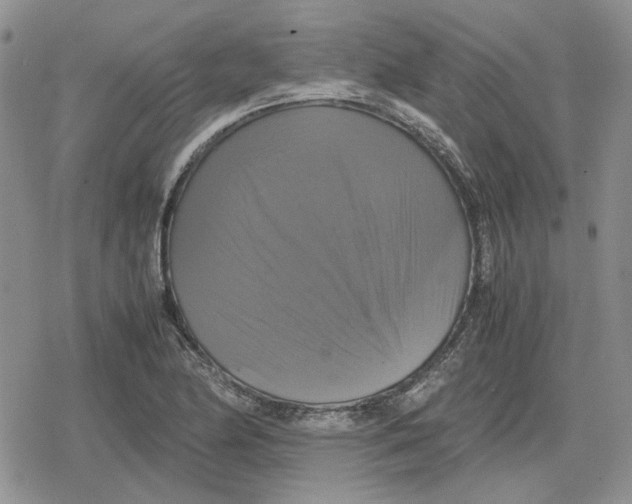 X0000079321174200612151810