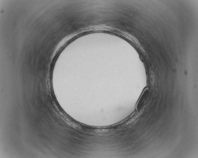 X0000079321176200612151810