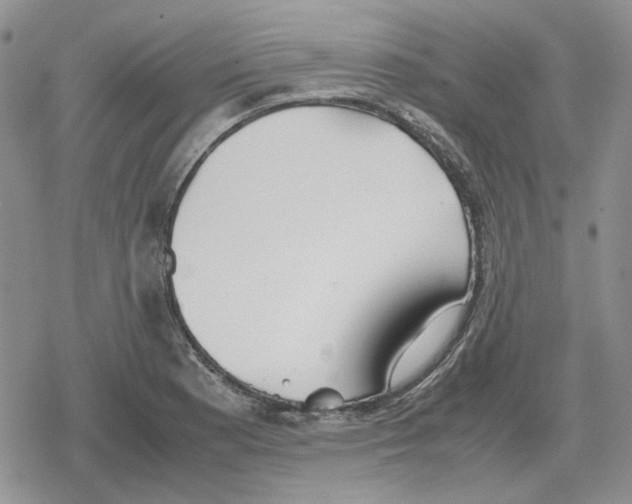 X0000079321177200612151810