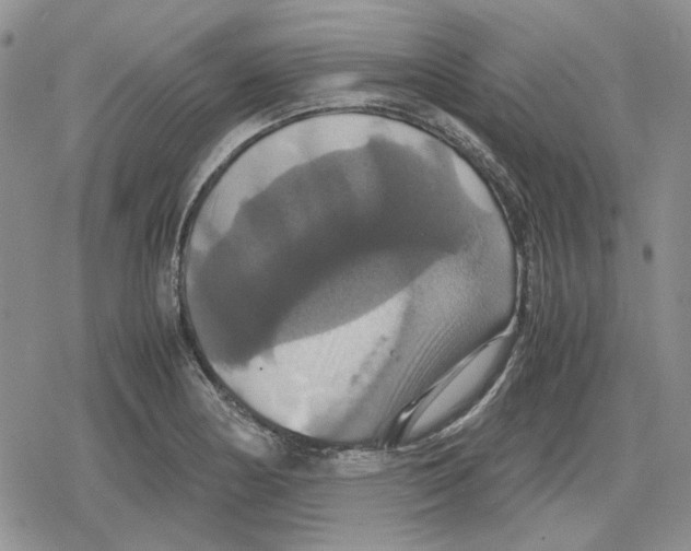 X0000079321178200612151810