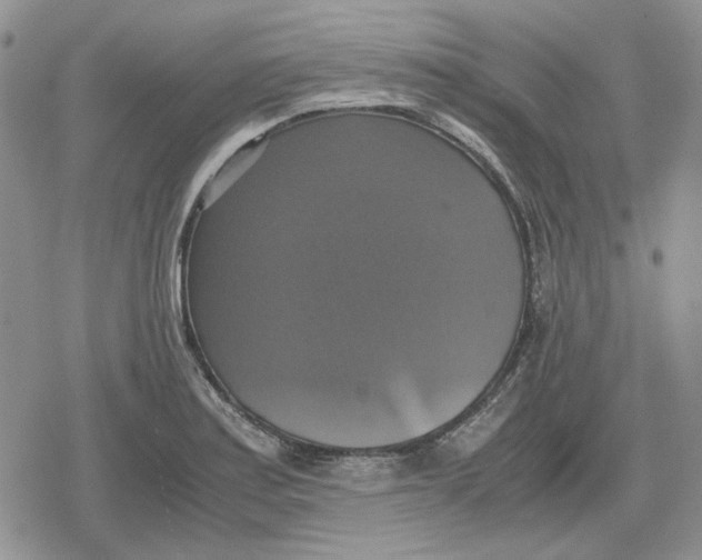 X0000079321179200612151810