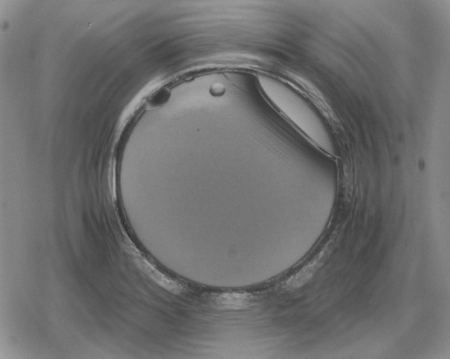 X0000079321180200612151810