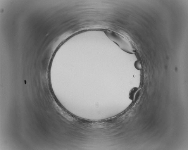 X0000079321181200612151809