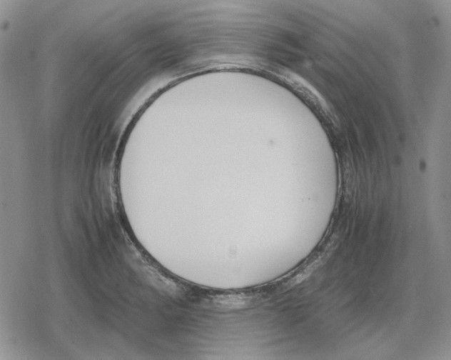 X0000079321182200612151809