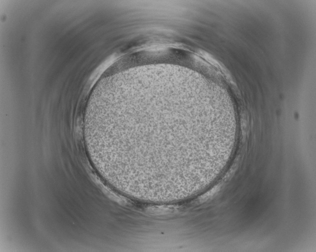 X0000079321185200612151809