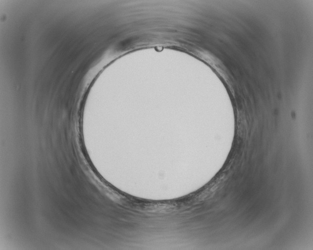 X0000079321187200612151809