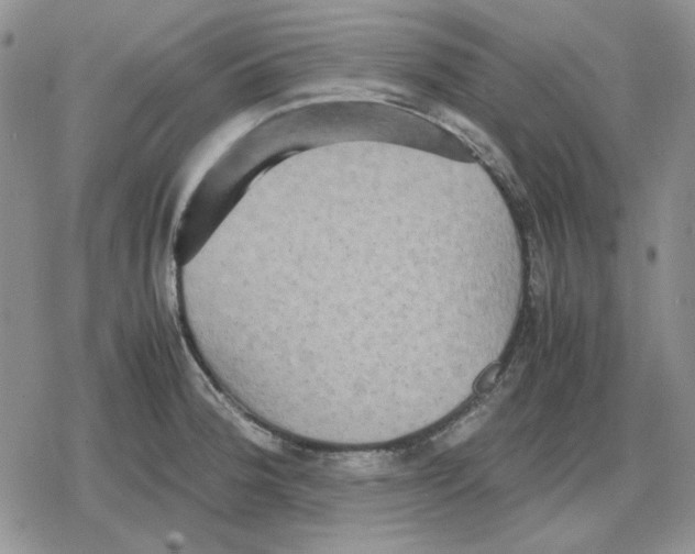 X0000079321188200612151809