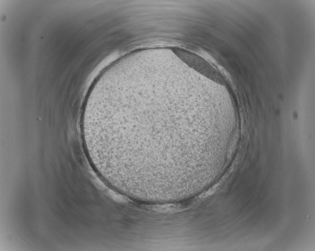 X0000079321189200612151809