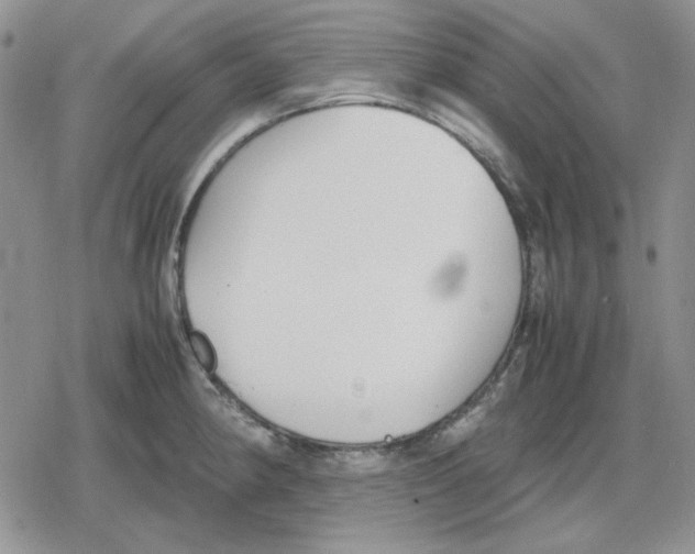 X0000079321190200612151809