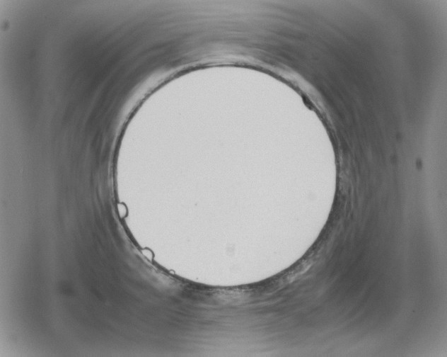 X0000079321191200612151809