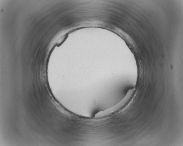 X0000079321192200612151809