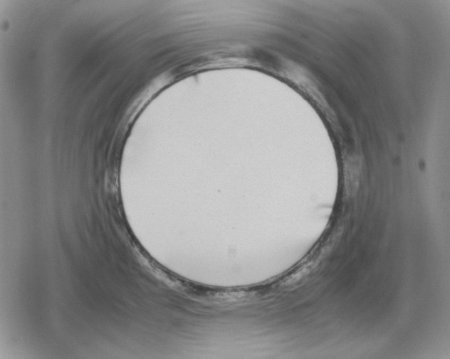 X0000079321193200612151809