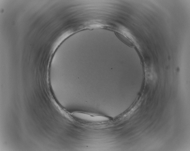 X0000079321194200612151809