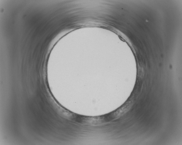 X0000079321195200612151809