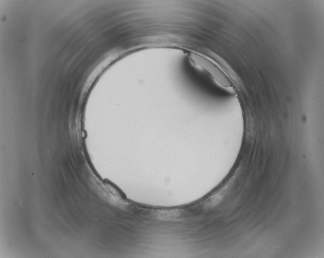 X0000079321196200612151809