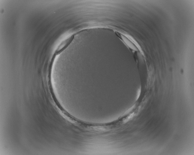 X0000079321197200612151809