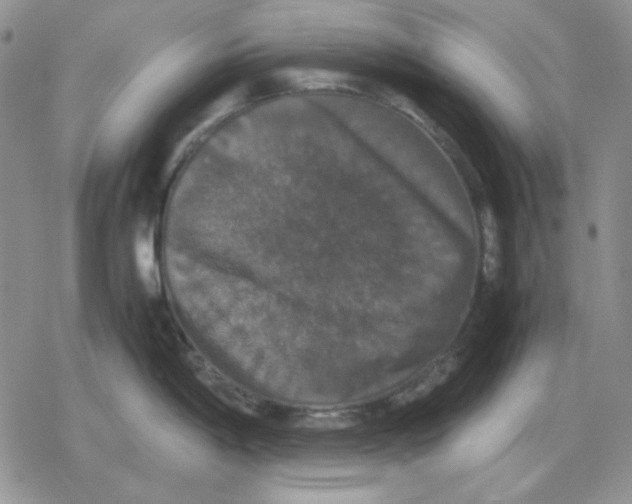 X0000079321198200612151809