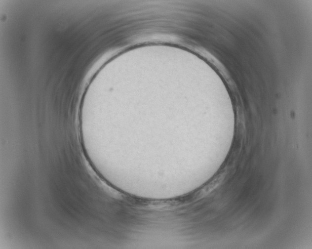 X0000079321199200612151809