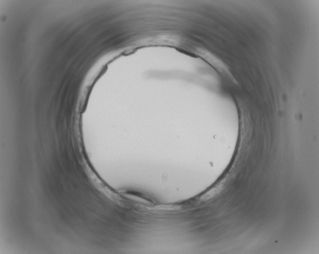 X0000079321200200612151809