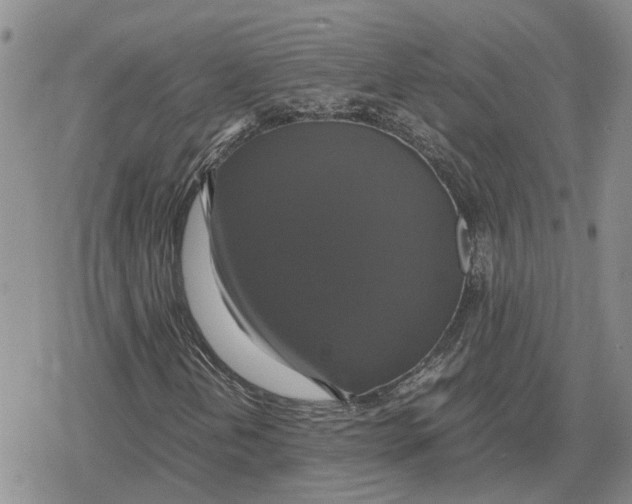 X0000079321202200612151808