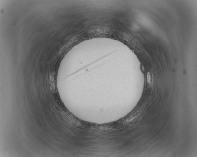 X0000079321203200612151808