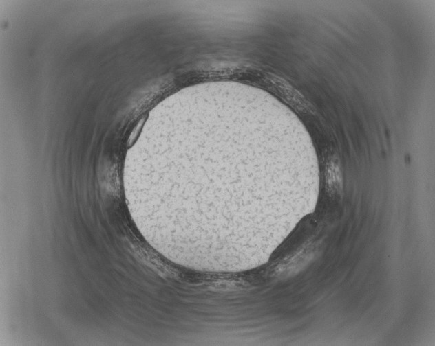 X0000079321204200612151808