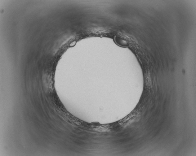 X0000079321205200612151808